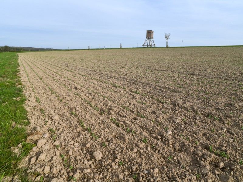 Hluboké a mělké předseťové kypření